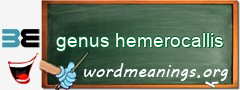 WordMeaning blackboard for genus hemerocallis